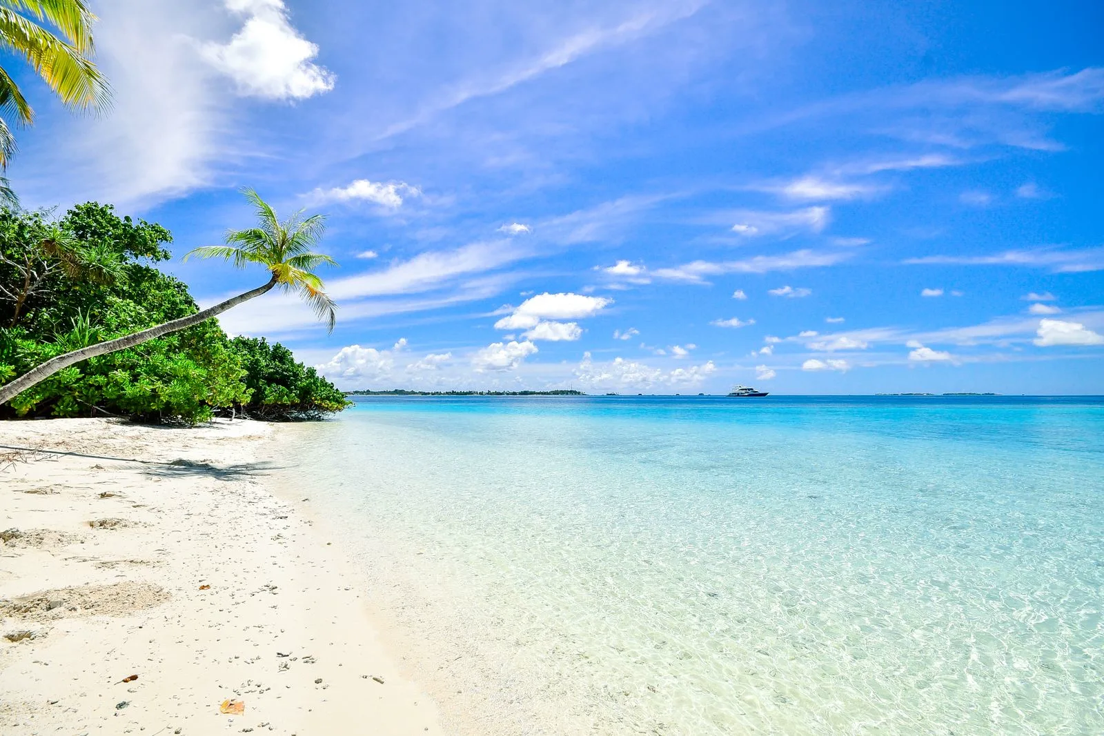 Clear blue Atlantic water under a bright Florida sky